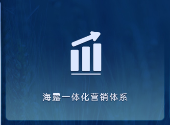 营销体系