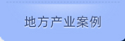 地方产业案例