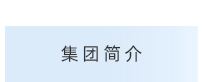 集团简介