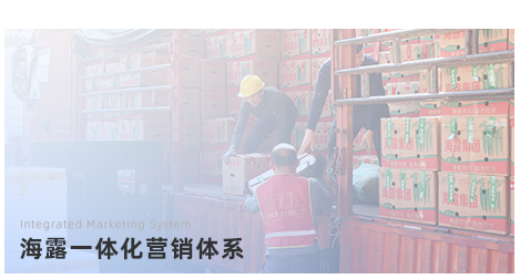海露一体化营销体系
