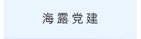 海露党建