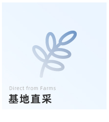 基地直采