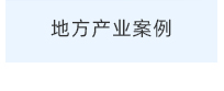 地方产业案例