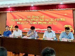 集团党支部参加东漖街道加强基层党组织建设工作暨党史学习教育推进会