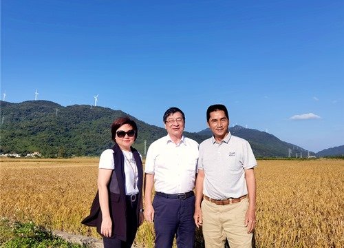 集团领导赴台山下川岛制种基地现场办公