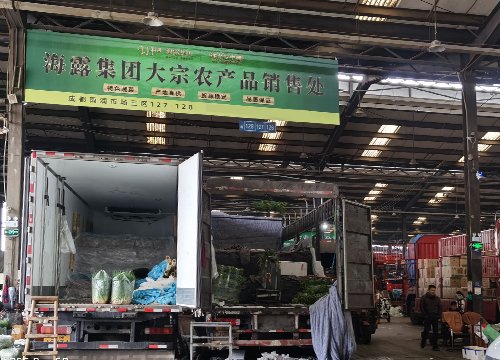 迎冬小雪至，海露保供忙