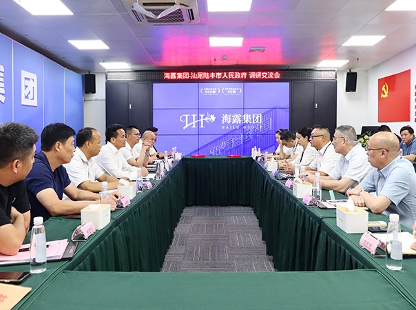 陆丰市政府到访集团调研交流