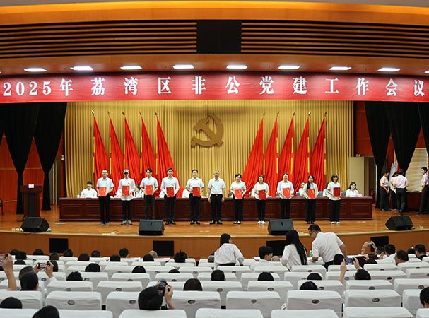 集团党支部荣获荔湾区“红荔金点团”优秀团队