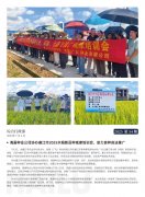 海露简报2025第54期