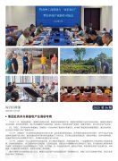 海露简报2025第56期
