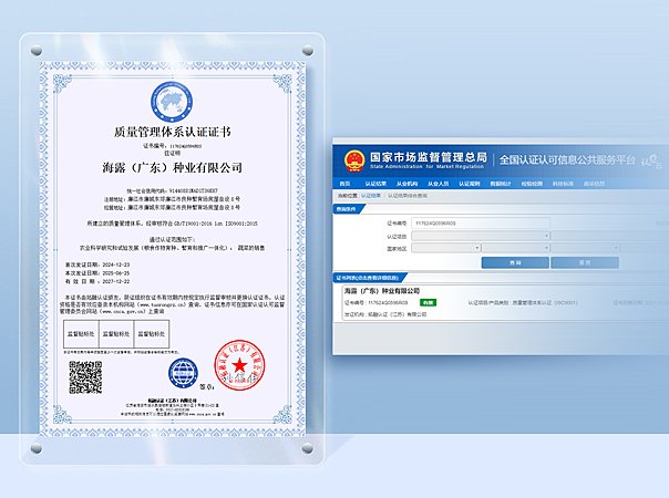 海露种业公司成功通过ISO9001质量管理体系认证