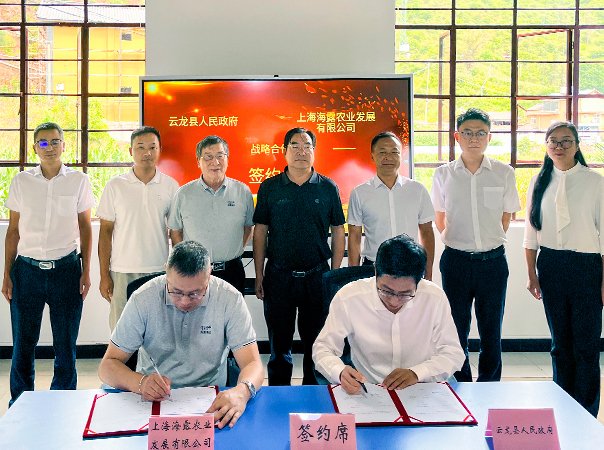 集团领导赴云南云龙县考察调研，子公司