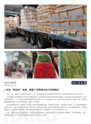 海露简报2025第82期
