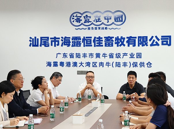 集团领导前往陆丰肉牛保供仓现场办公​