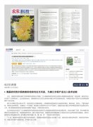 海露简报2025第101期