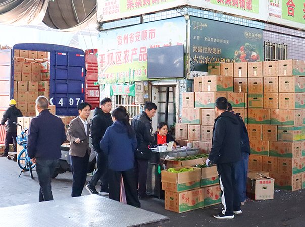 集团大宗贸易部调研广州营销点，聚焦农业数据资产挖掘