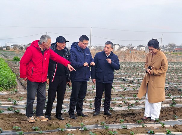 集团领导携上海办事处赴长三角考察，深化合作拓展业务