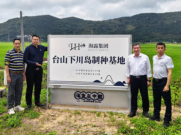 集团领导赴江门市台山制种基地现场办公