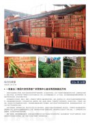 海露简报2026第18期